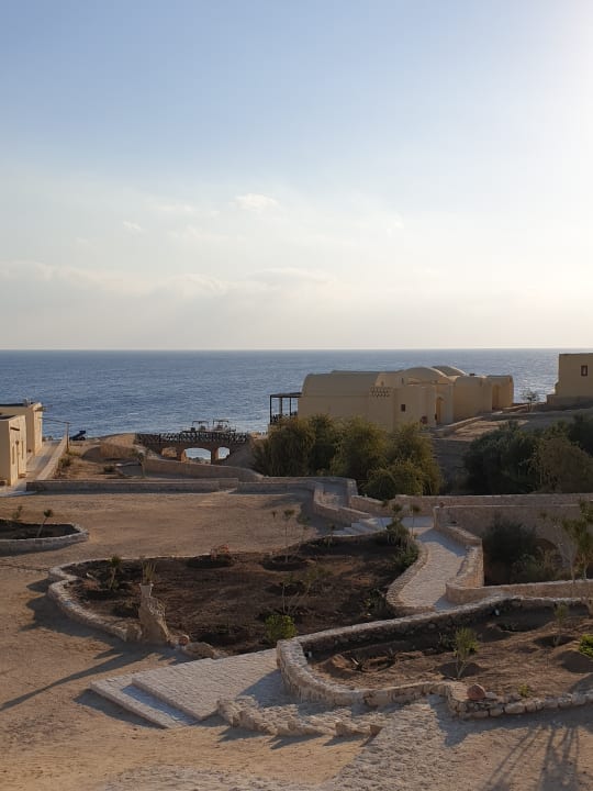 Außenansicht The Oasis Dive Resort