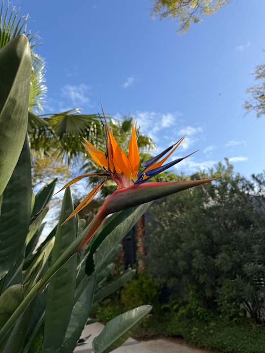 Gartenanlage ROBINSON QUINTA DA RIA