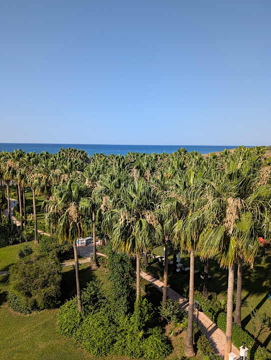 Zimmer Royal Atlantis Beach Hotel