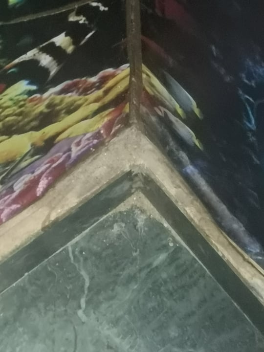 Sonstiges Marlin Inn Azur Resort