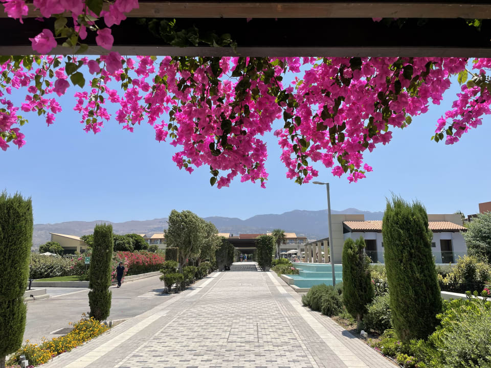 Gartenanlage Astir Odysseus Kos Resort & Spa