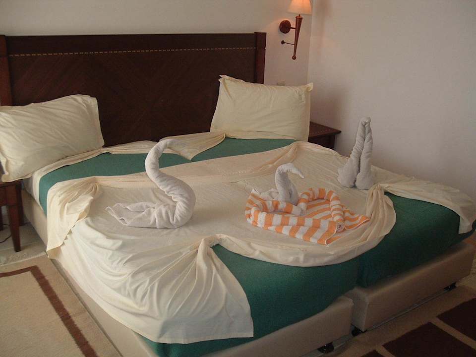 Saubere Zimmer Beach Albatros Resort