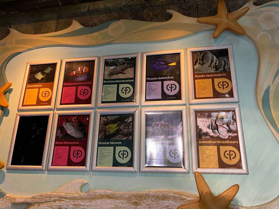 Pool Center Parcs Het Heijderbos