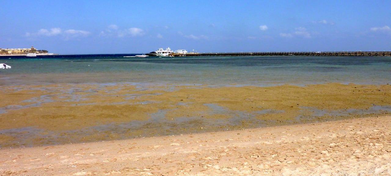 Strand Cleopatra Luxury Resort Makadi Bay