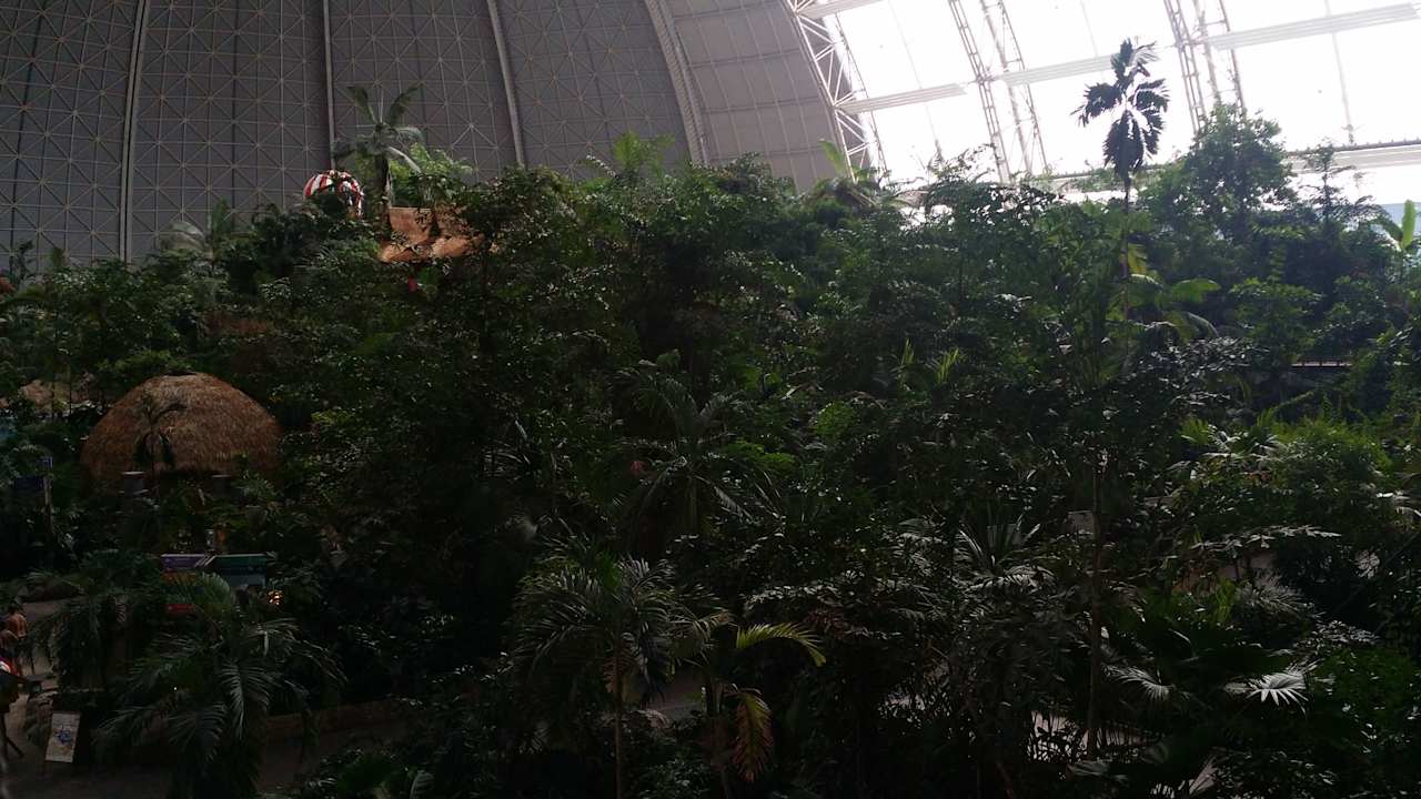 Zimmer Tropical Islands Resort