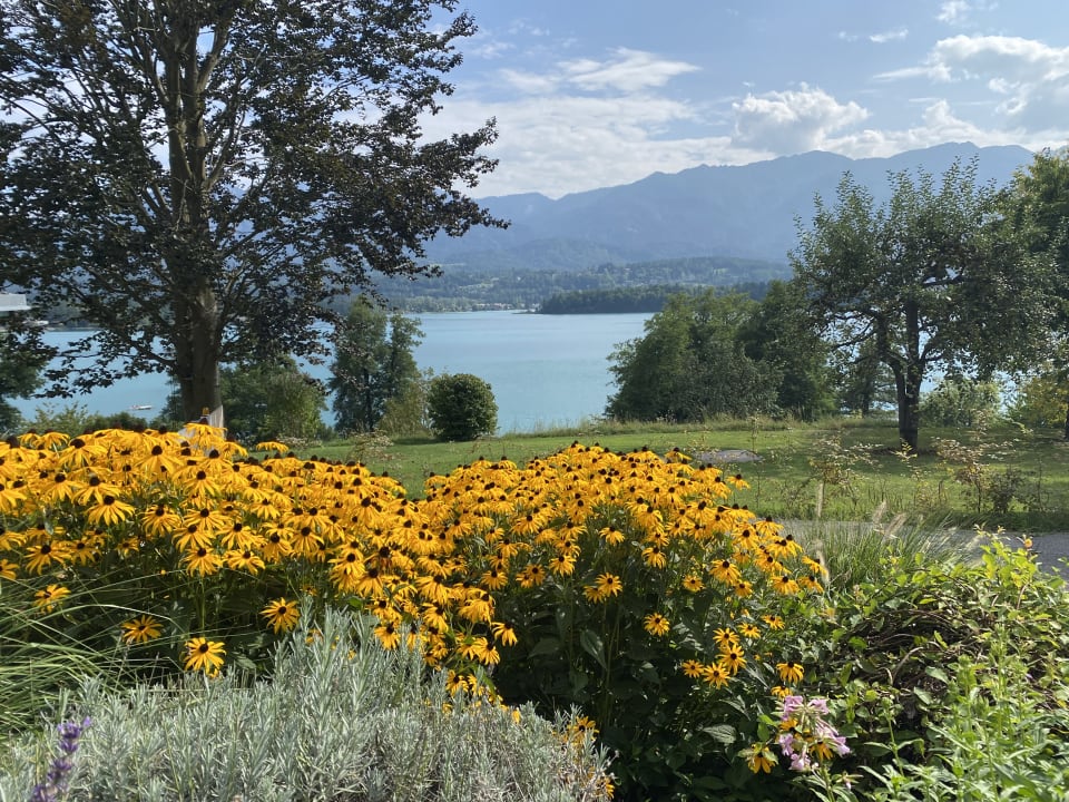 Ausblick Pension Lesjak