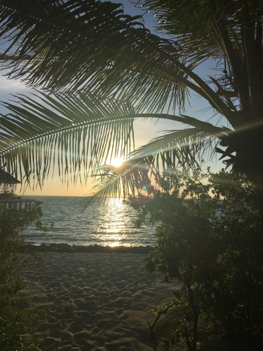 Strand Sonnenuntergang Summer Island Maldives