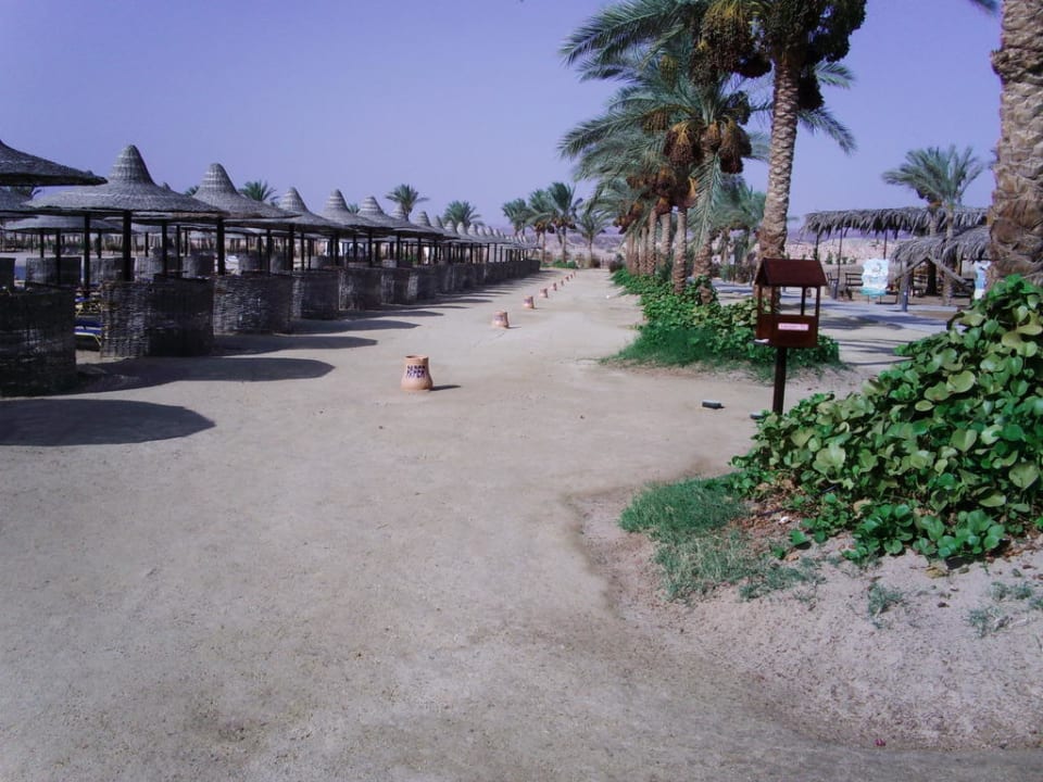 Strand Steigenberger Coraya Beach - Adults only