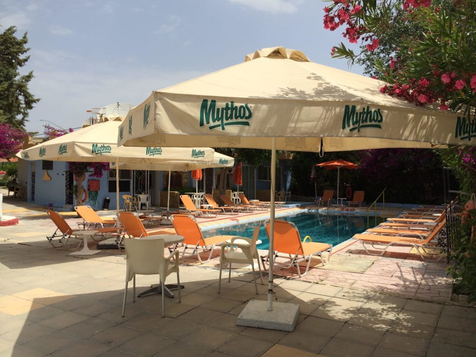 Kleiner unattraktiver Pool Nest Apartments