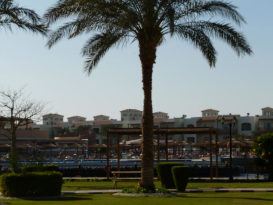 View garden Pickalbatros Dana Beach Resort - Hurghada