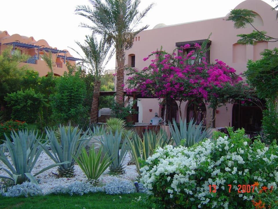 Spaziergang durch das Madinat Jaz Makadi Oasis Resort