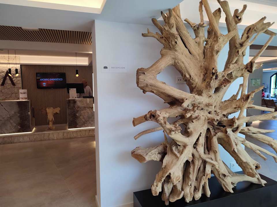 Lobby Valentin Somni Hotel & Suites