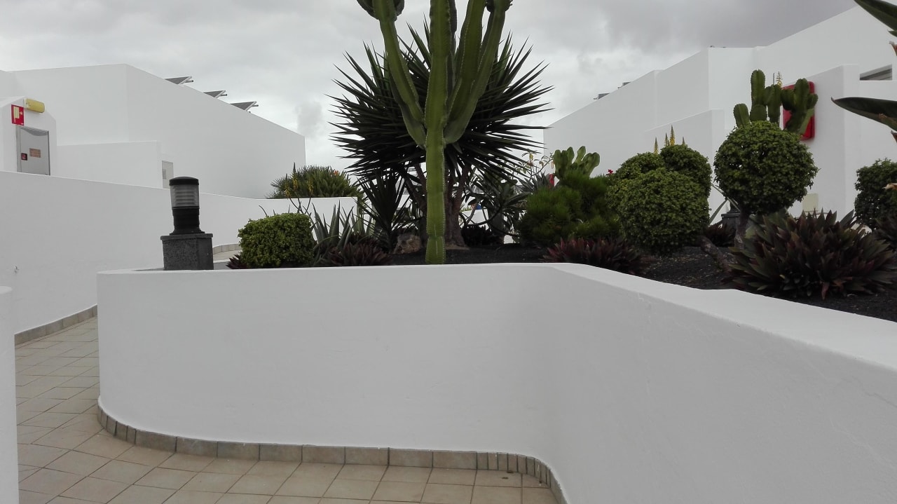 Weg und Bepflanzung  Hotel Las Costas