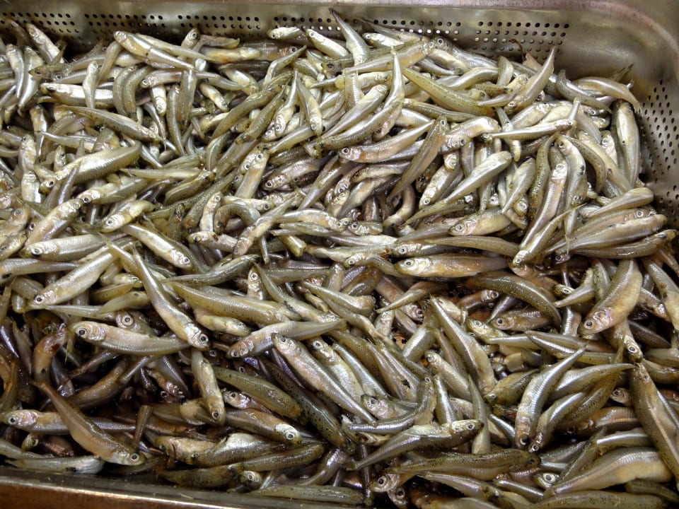 Vor dem Weg in das heiße Öl... Alua Suites Fuerteventura