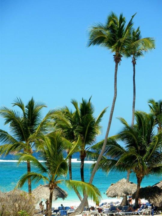 Hotel - Strand Royalton Splash Punta Cana