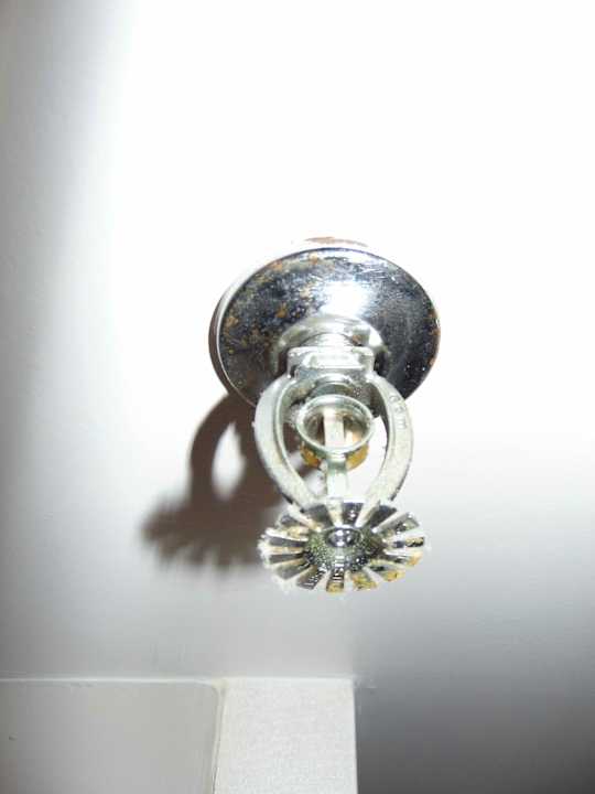 Zimmer Hotel Hilton Atlanta