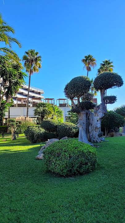 Gartenanlage allsun Hotel Sumba