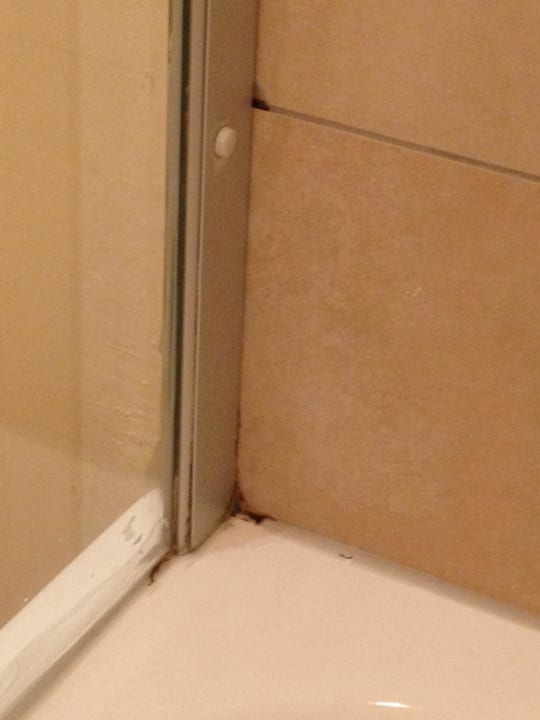 Und noch einmal BollAnts Spa im Park