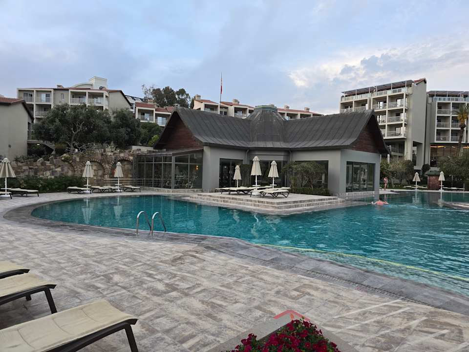 Sonstiges Arum Barut Collection