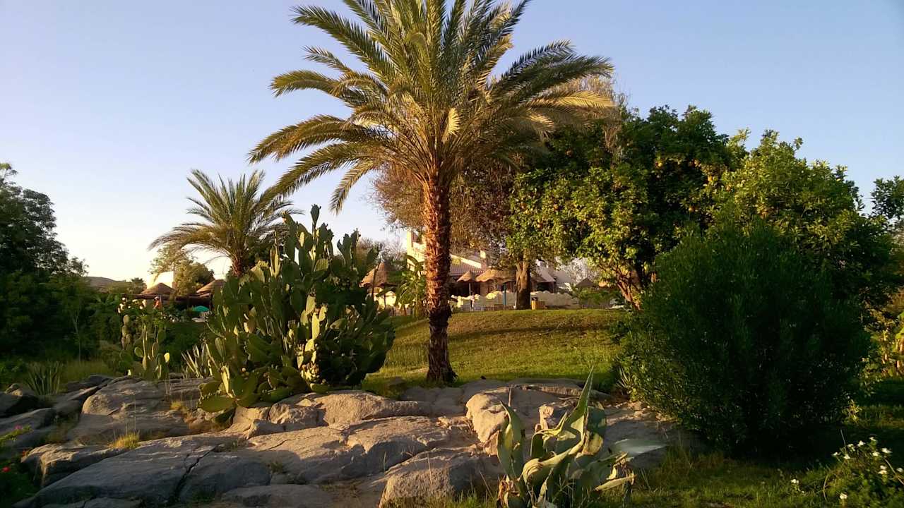 Garten mit Bananen Bäumen Pyramisa Island Hotel Aswan