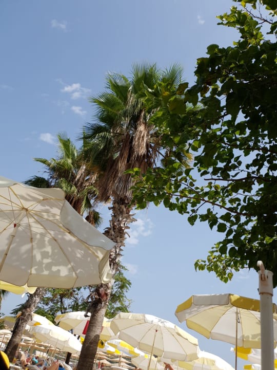 Ausblick Hotel Gardenia Beach