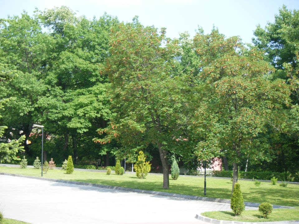 Zufahrt und Parkplatz Sana Spa Hotel Sana Spa Hotel