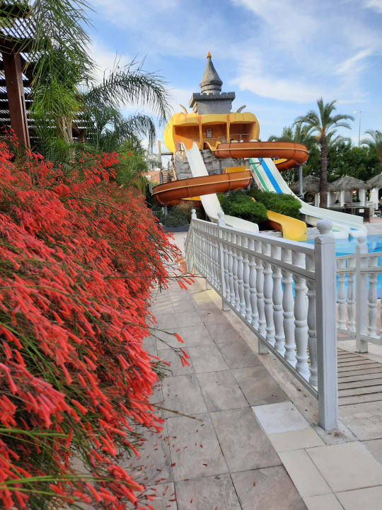 Sport & Freizeit Well Palace Side