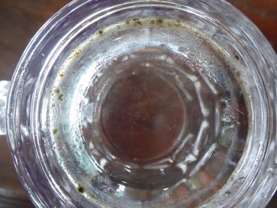 Restaurant Neptune Palm Beach Boutique Resort & Spa