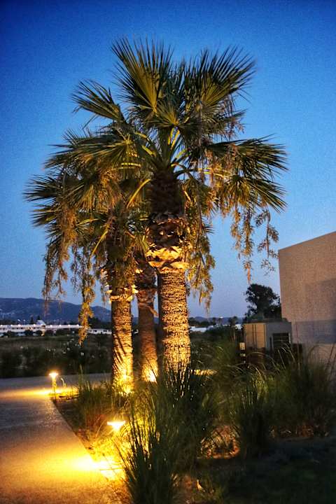 Außenansicht Caravia Beach Hotel