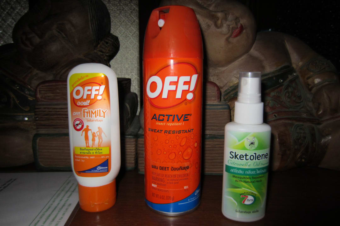 Mückenschutz der wirkt The Fair House Beach Resort