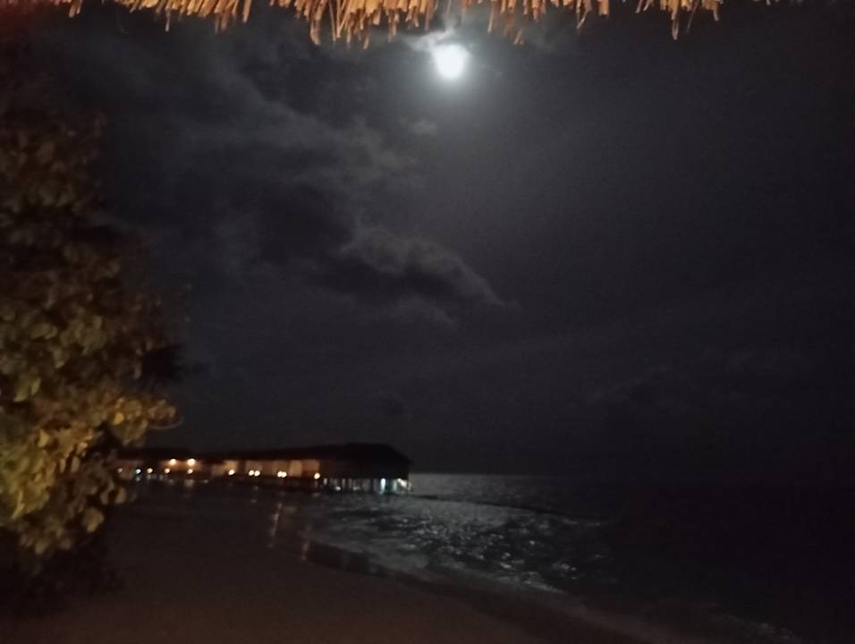 Ausblick Dreamland The Unique Sea & Lake Resort / Spa