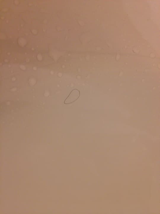 Haare im Bad Lindner Hotel Dusseldorf Seestern, part of JdV by Hyatt
