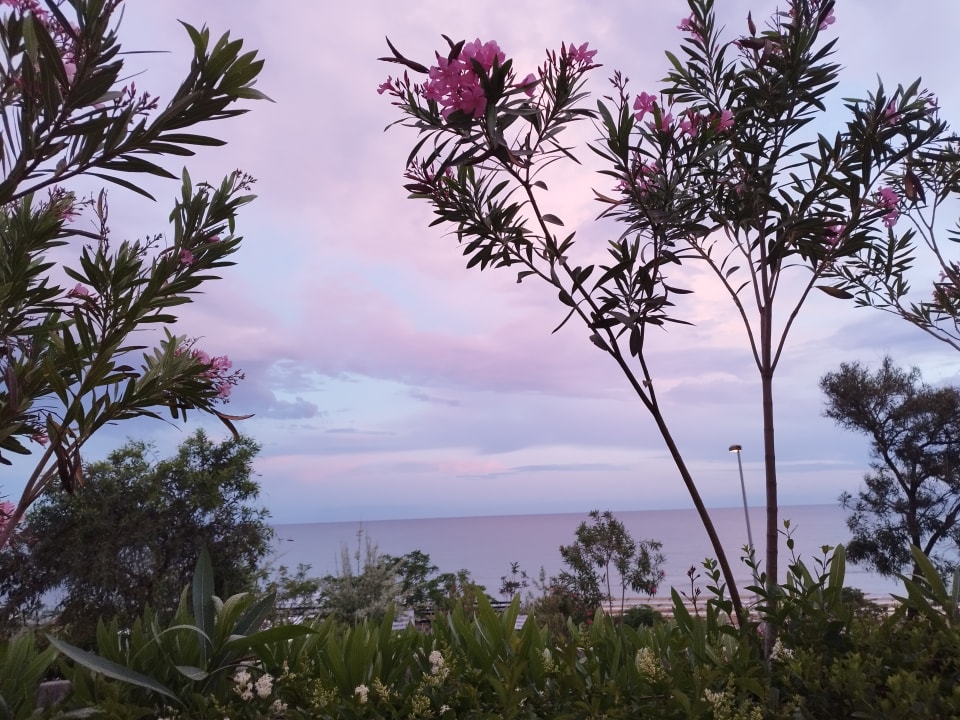 Ausblick Club Sidelya Hotel