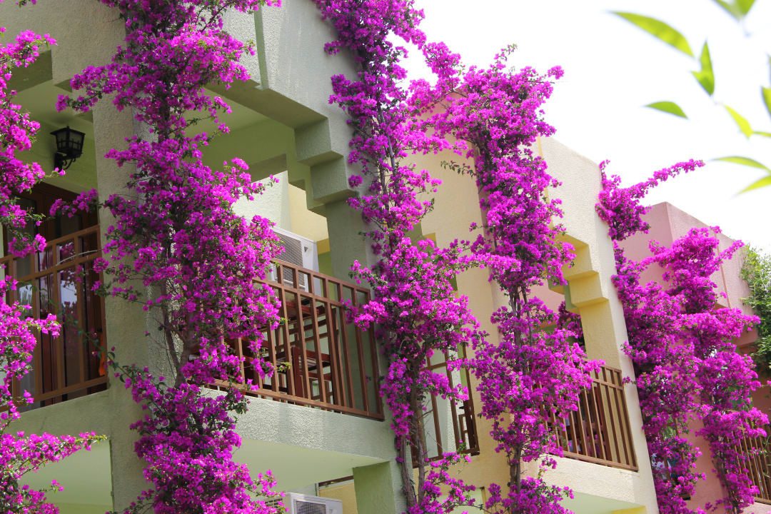 Außenansicht VONRESORT Golden Beach