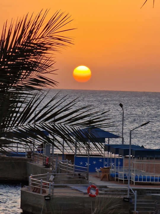 Ausblick Beach Albatros Resort