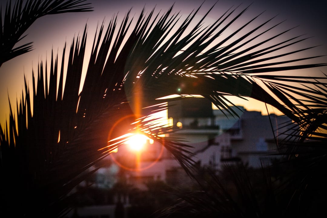 Ausblick Steigenberger Aqua Magic
