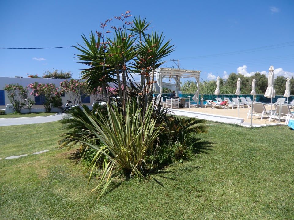 Gartenanlage Hotel Princess Of Naxos