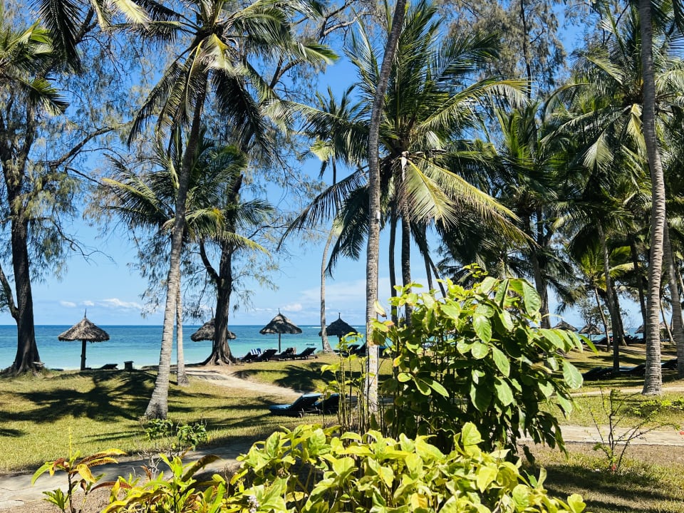 Gartenanlage Diani Sea Resort