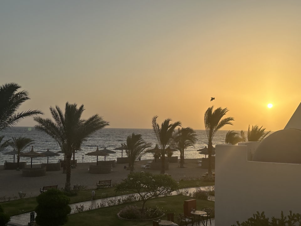 Ausblick Coral Sun Beach