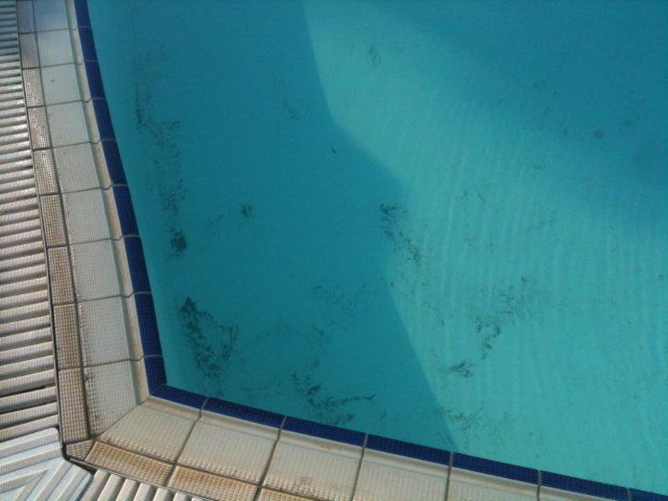 Auch dieser Pool möchte GEREINIGT werden TUI KIDS CLUB Alex Beach