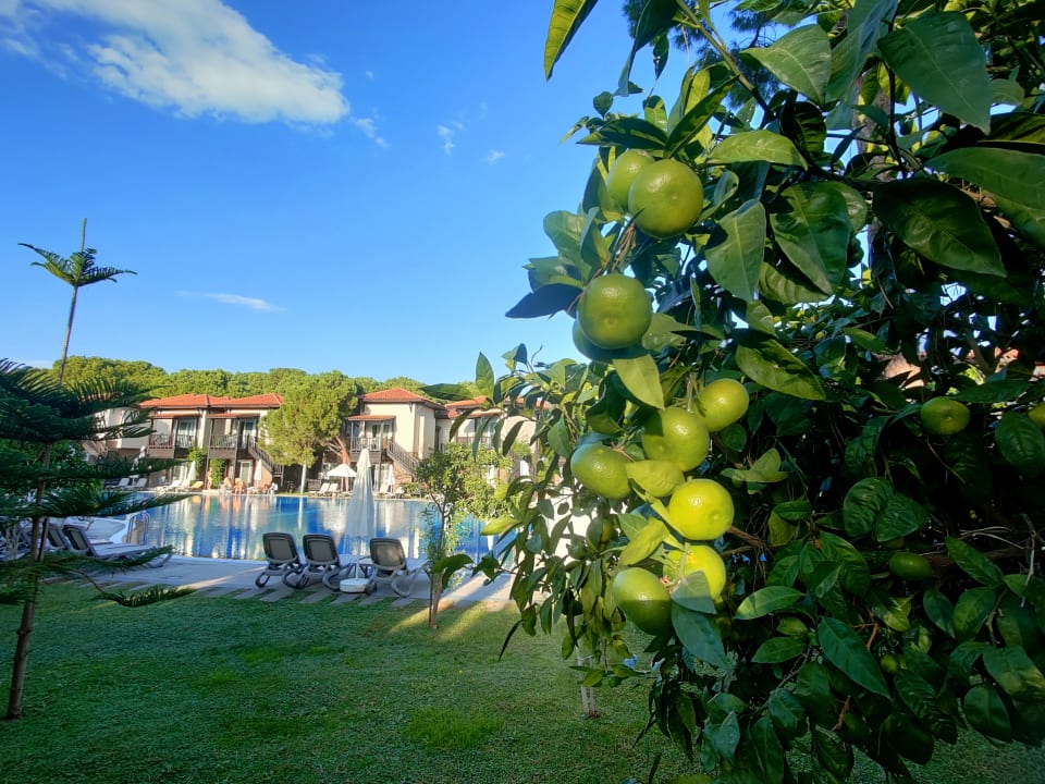 Gartenanlage Papillon Ayscha