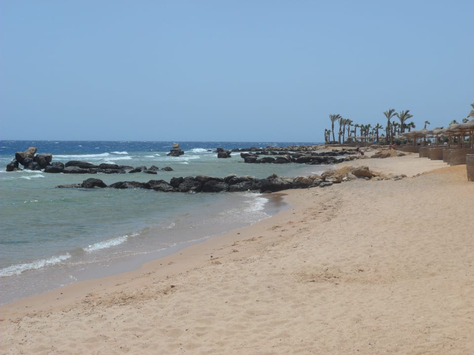 1,6 km Pickalbatros Citadel Resort