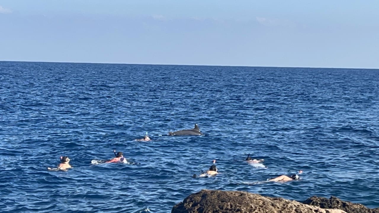 Ausblick Pickalbatros Citadel Resort