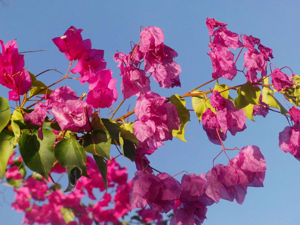 Viel fürs Auge My Home Resort