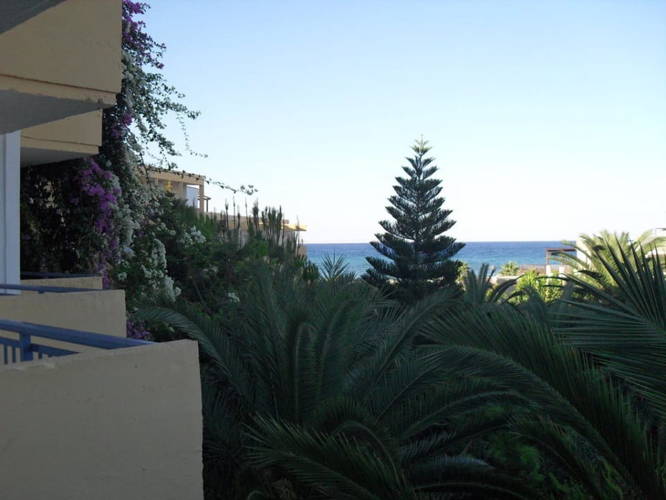 Ausblick vom Balkon im Haupthaus Hotel Aphrodite Beach Club