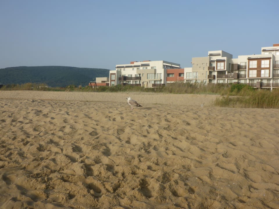 Außenansicht Sol Luna Bay