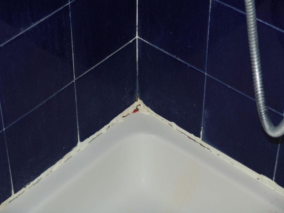 Bad 5 Hotel Heliotrope