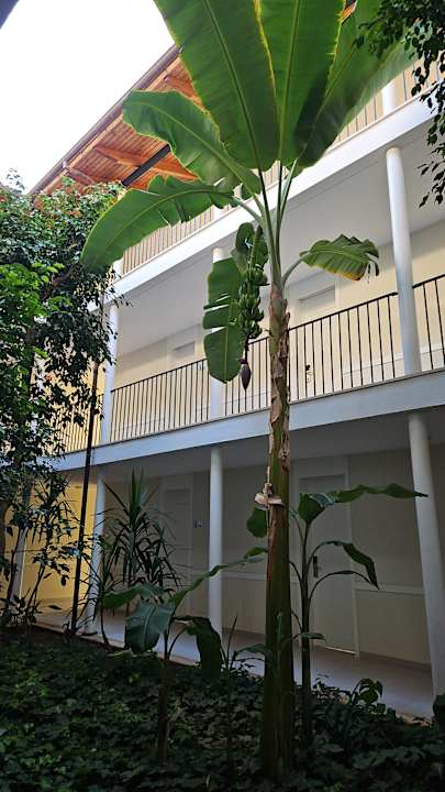 Außenansicht Blau Colònia Sant Jordi