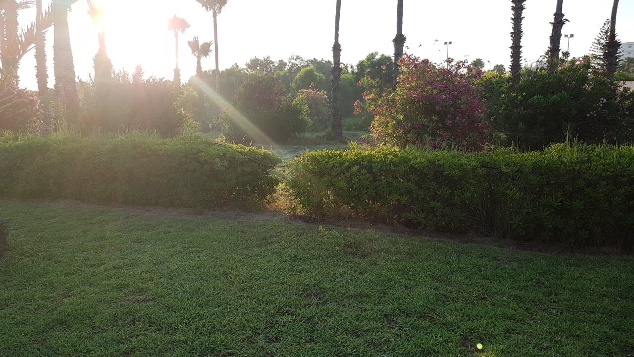 Gartenanlage Hotel Club Tropicana & Spa