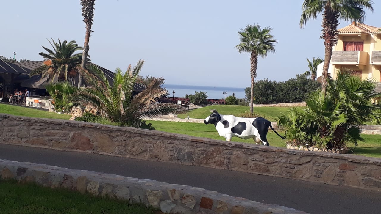 Gartenanlage Hotel Kalithea Horizon Royal